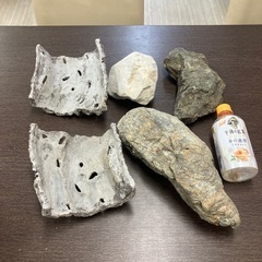 水槽石（大）いろいろの画像