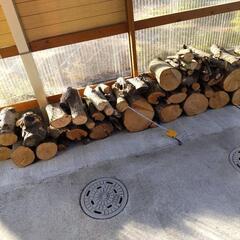 0円に値下げ　薪(丸太)、焚物にどうですか！