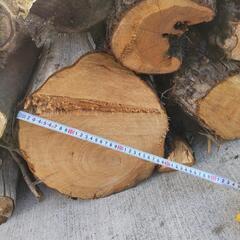 0円に値下げ　薪(丸太)、焚物にどうですか！の画像