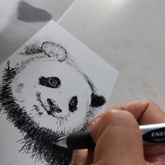 初心者からのボールペンスケッチ入門（オンライン可）の画像