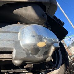 ホンダ「フォーサイト SE」＋ オマケ 　250cc FORESIGHT SEの画像