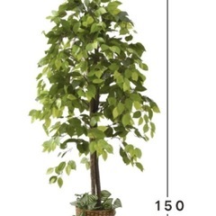 フェイクグリーン　大型　ベンジャミン観葉植物 150cm ①の画像