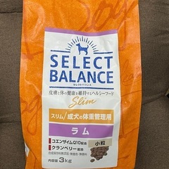 セレクトバランス