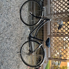 ブリヂストン自転車
