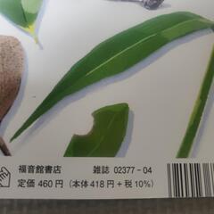 保育園　絵本　5歳児向けの画像