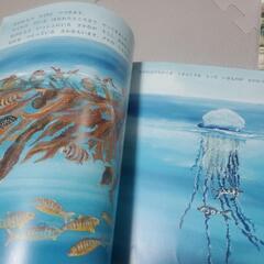 保育園　絵本　5歳児向けの画像