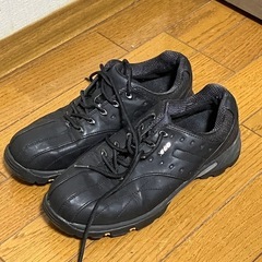 ゴルフシューズ　ゼクシオ