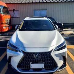 【極上美品】総額850万　現行LEXUS NX450h++美品スタッドレスタイヤも格安販売の画像