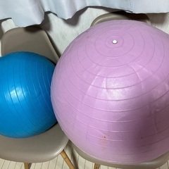 ジムボール