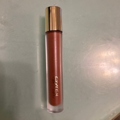 エクセル　リップ