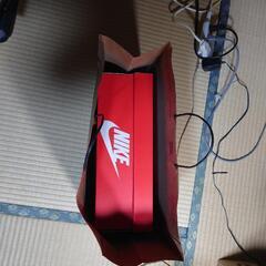 NIKE AIR MAX EXCEEの画像