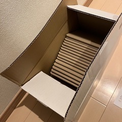 ネズミ捕り粘着シート