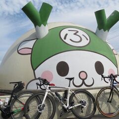自転車仲間募集☆ - スポーツ