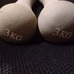 鉄アレイ３キロ２セット