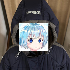 ウィルソン❗️ベンチコート❤️ロングタイプの画像