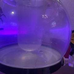 ビールサーバー
の画像