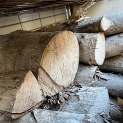 約10kg  桜木の薪　キャンプ