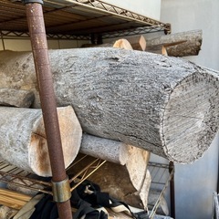約10kg  桜木の薪　キャンプの画像
