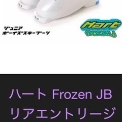 未使用　
新品　24㎝　スキーブーツ　　試着のみの画像