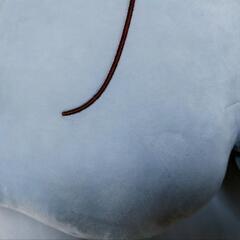 水色ビッグピクルスの画像