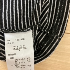 レディースTシャツの画像