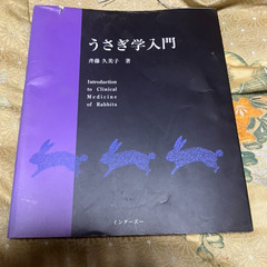 特別無料　早い者勝ち　うさぎ学入門　