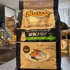 ニュートロナチュラルチョイス穀物フリーアダルトサーモン