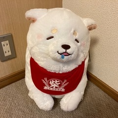 ぬいぐるみ