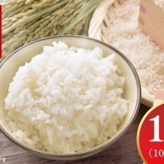 2令和6年、茨城県産コシヒカリ10キロ6500円大人気商品数量限...