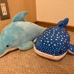 ぬいぐるみの画像