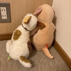 ぬいぐるみの画像