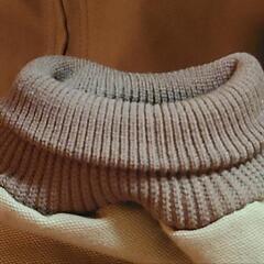 carhartt 　アクティブジャケットの画像