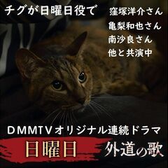 我が家の飼い猫チグが連続ドラマ「外道の歌」出演中