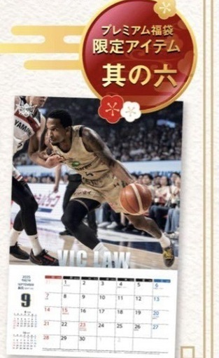 琉球ゴールデンキングス　全選手カレンダー