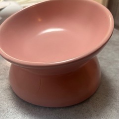 ペット　皿　陶器の画像