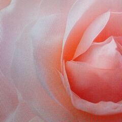 人生経験豊富な、又は、これから…の男女仲間募集🌄