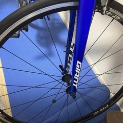 2017年購入　　ジャイアントの画像