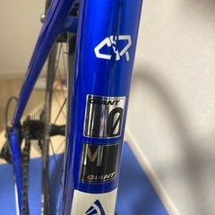 2017年購入　　ジャイアントの画像