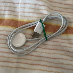 1/3 13時に川崎駅で　新品同様　Apple純正　Apple ...