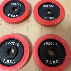 ★アイロテック IROTEC★ラバーダンベル40kgセット(片手20kg×2個)の画像