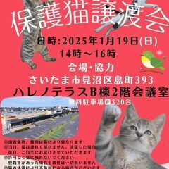 【さいたま市見沼区】1/19(日)ハレノテラス保護猫譲渡会