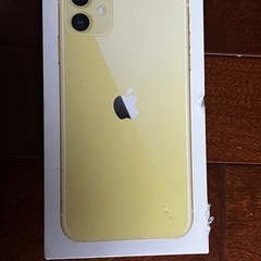 純正iPhone 13 箱　とUSBアダプタ　ライトニングコード