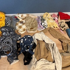 犬デビューセット　服　ゲージ　散歩リードの画像