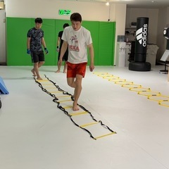 普通のラダーも導入しますた。