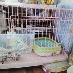 猫用ケージ３点(大1,小2)まとめて。