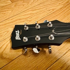 BLITZ by Aria ProⅡセミアコ ES-335タイプの画像