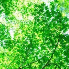 子どもスポーツサークル - 金沢市