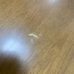 ダイニングローテーブルの画像