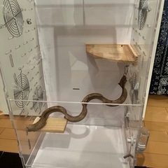 美中古フクロモモンガ用アクリルケージ