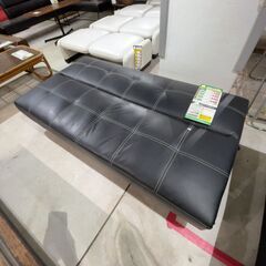 ｿﾌｧﾍﾞｯﾄﾞ(No:1240089)の画像